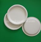 Biodegradable Disposable Sugarcane Pulp Paper Plate, 10 inch Bagasse  round plate, P005