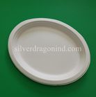 Biodegradable Disposable Sugarcane Pulp Paper Plate, Oval Plate