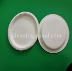 Biodegradable Disposable Sugarcane Pulp Paper Plate, Oval Plate