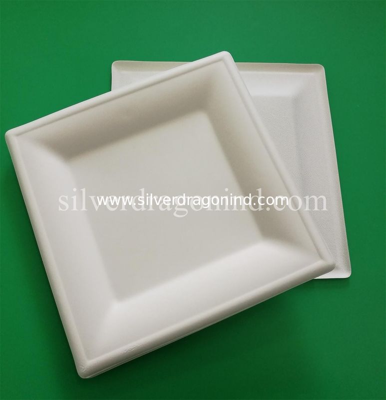 Biodegradable Disposable Sugarcane Pulp Paper Plate, 8 Inch Square Plate