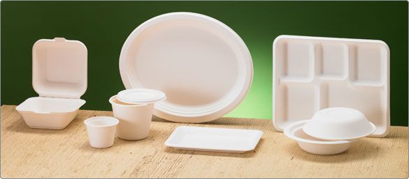 Biodegradable Disposable sugarcane pulp Paper Bowl, food grade ,Professional Manufacturer