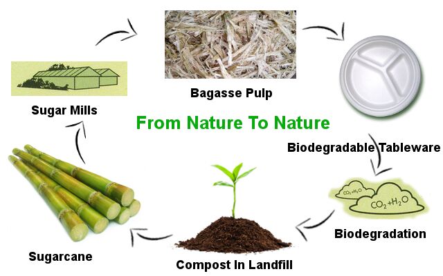 Biodegradable Disposable Sugarcane Pulp Paper Bowl, Food Grade, 460ml