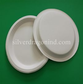 Biodegradable Disposable Sugarcane Pulp Paper Plate, Oval Plate