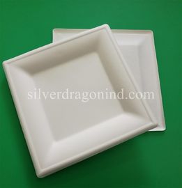 Biodegradable Disposable Sugarcane Pulp Paper Plate, 8 Inch Square Plate