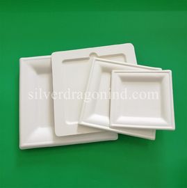 Biodegradable Disposable Sugarcane Pulp Paper Plate, 8 Inch Square Plate