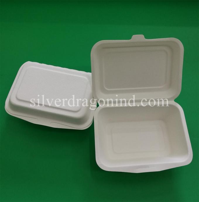 Disposable Biodegradable Sugarcane Pulp Paper Lunch Box, sugarcane ...